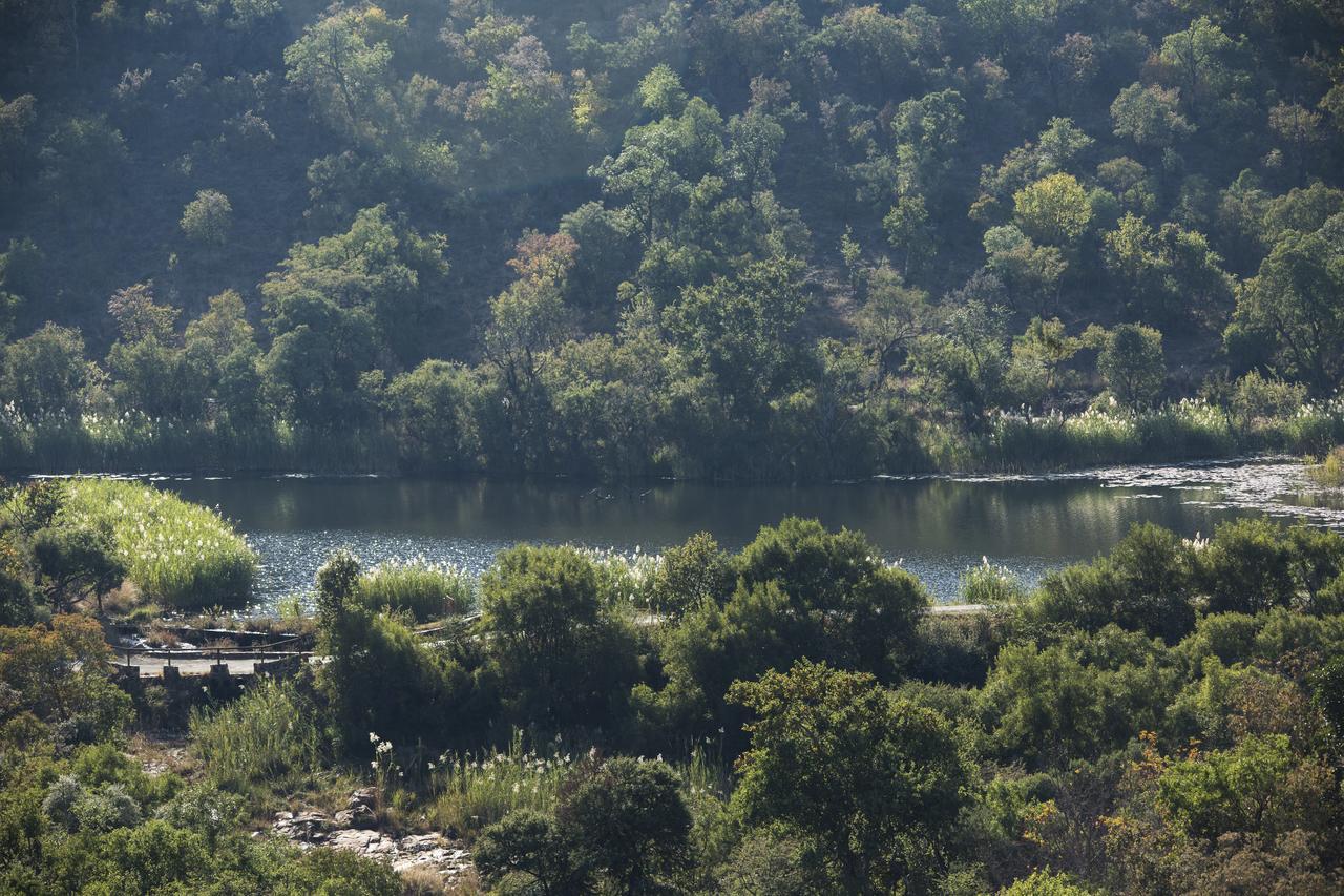 בלה-בלה Phumelo Lodge מראה חיצוני תמונה
